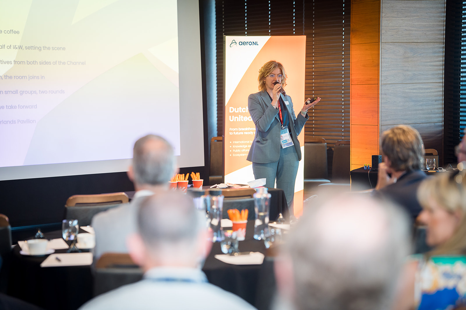 Roxanne speaking at the AeroNL Zero Emission Flying Forum